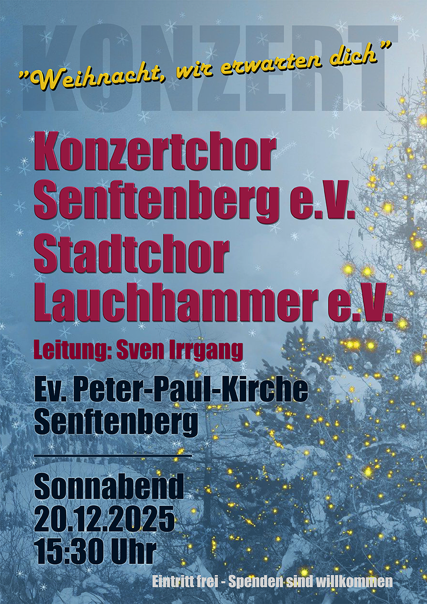 Weihnachtskonzert SFB 2025 1200x800